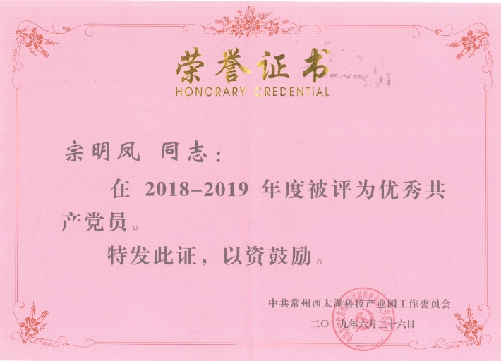 熱烈祝賀我司宗明鳳同志獲“2018-2019年度優(yōu)秀黨員”榮譽稱號